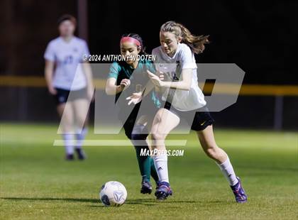 Thumbnail 2 in Jack Britt @ Pine Forest photogallery.