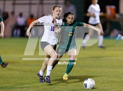 Thumbnail 3 in Jack Britt @ Pine Forest photogallery.