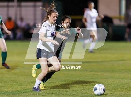 Thumbnail 2 in Jack Britt @ Pine Forest photogallery.