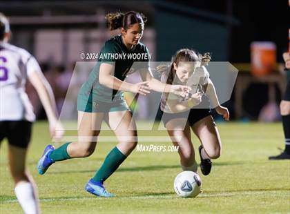 Thumbnail 1 in Jack Britt @ Pine Forest photogallery.