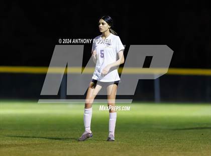 Thumbnail 1 in Jack Britt @ Pine Forest photogallery.