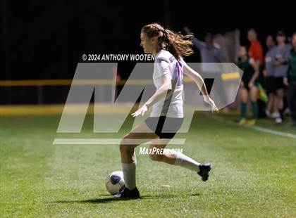 Thumbnail 3 in Jack Britt @ Pine Forest photogallery.