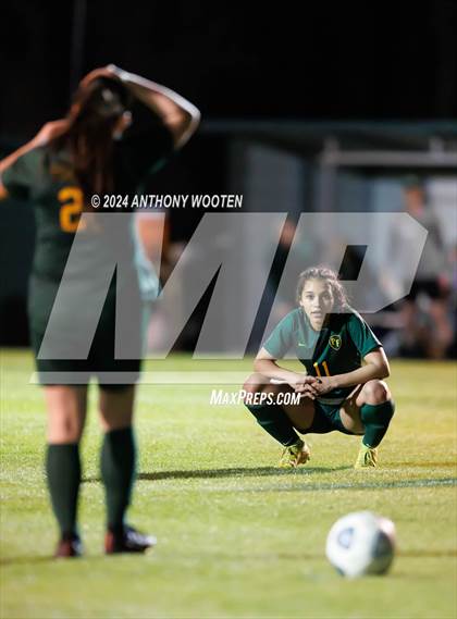 Thumbnail 1 in Jack Britt @ Pine Forest photogallery.