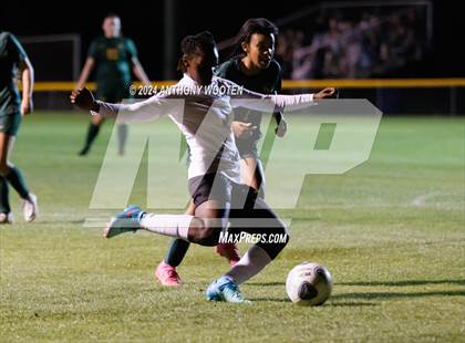 Thumbnail 1 in Jack Britt @ Pine Forest photogallery.
