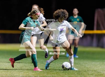 Thumbnail 1 in Jack Britt @ Pine Forest photogallery.
