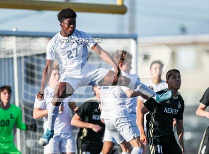 Thumbnail 2 in Servite vs. Loyola (CIF Southern Section D1 Final) photogallery.
