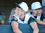 Photo from the gallery "Miramonte @ Sonoma Valley"
