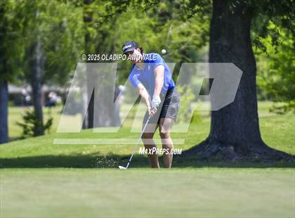 Thumbnail 1 in UIL 4A Golf (Region II Regionals) photogallery.