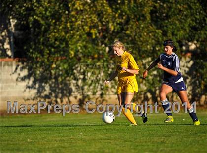 Thumbnail 2 in Springfield @ Marist photogallery.