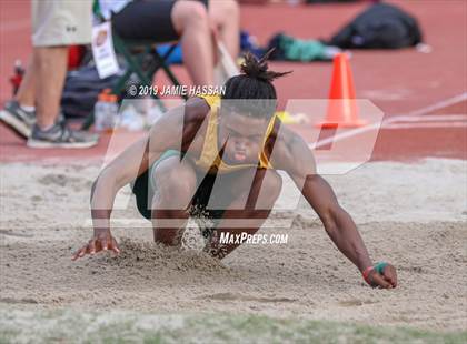 Thumbnail 1 in Bojangles Track and Field Classic (Field Events) photogallery.