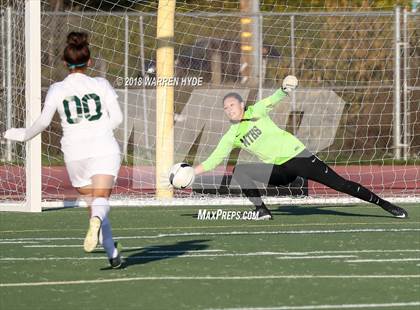 Thumbnail 3 in Franklin @ Monterey Trail photogallery.