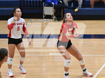 Thumbnail 3 in Cypress Ranch vs Cypress Woods photogallery.