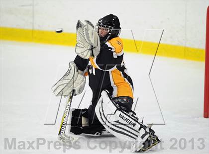 Thumbnail 1 in Lakeland-Panas @ Mahopac photogallery.