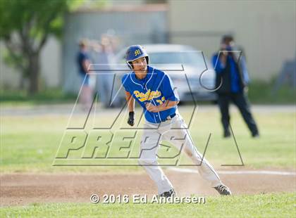 Thumbnail 1 in Maxwell @ Esparto photogallery.