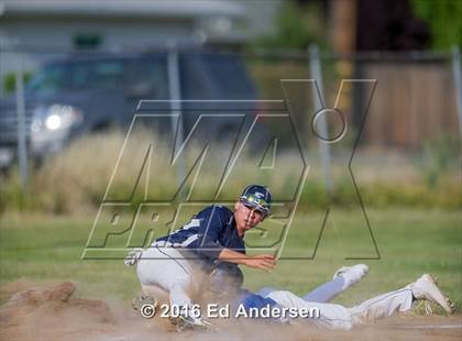 Thumbnail 1 in Maxwell @ Esparto photogallery.