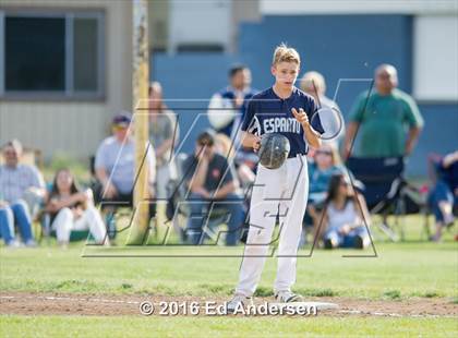 Thumbnail 1 in Maxwell @ Esparto photogallery.