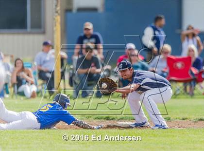 Thumbnail 2 in Maxwell @ Esparto photogallery.