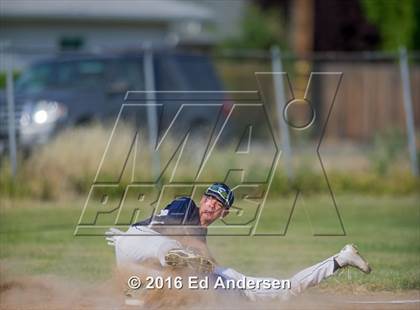 Thumbnail 2 in Maxwell @ Esparto photogallery.