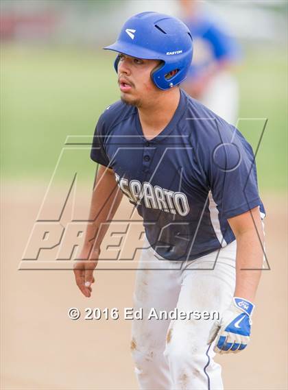 Thumbnail 1 in Maxwell @ Esparto photogallery.