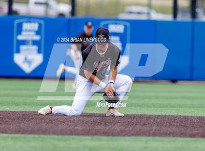 Thumbnail 1 in Thompson Valley vs Windsor (CHSAA 4A Round 1) photogallery.