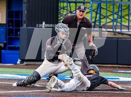 Thumbnail 1 in Thompson Valley vs Windsor (CHSAA 4A Round 1) photogallery.