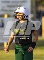 Photo from the gallery "Brea Olinda @ Covina"