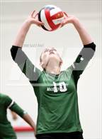 Photo from the gallery "Webb @ Baylor"