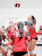 Photo from the gallery "Webb @ Baylor"