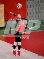 Photo from the gallery "Webb @ Baylor"