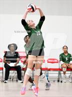 Photo from the gallery "Webb @ Baylor"