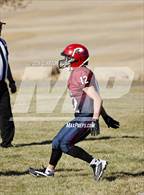 Photo from the gallery "Timberline @ Lewis County co-op [Highland/Nezperce]"