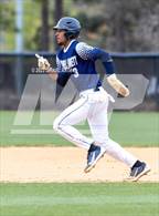 Photo from the gallery "Purnell Swett @ South View"