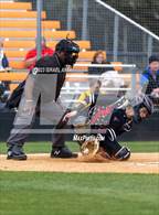 Photo from the gallery "Purnell Swett @ South View"