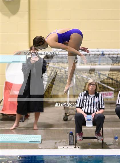 Thumbnail 1 in Mustang Invite (Diving) photogallery.