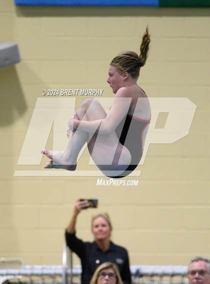 Thumbnail 3 in Mustang Invite (Diving) photogallery.