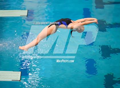Thumbnail 3 in Mustang Invite (Diving) photogallery.