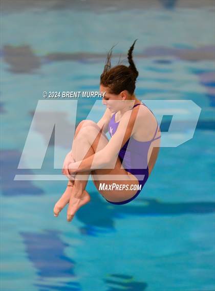 Thumbnail 2 in Mustang Invite (Diving) photogallery.