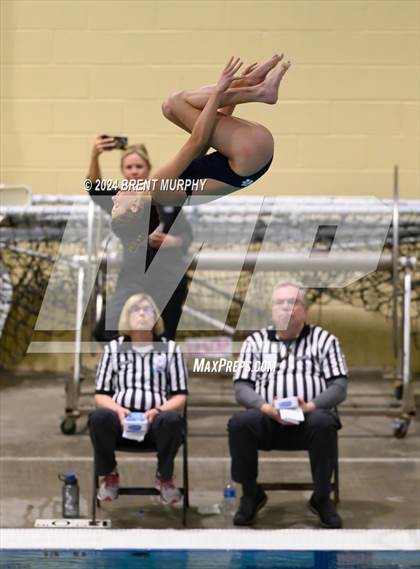 Thumbnail 3 in Mustang Invite (Diving) photogallery.