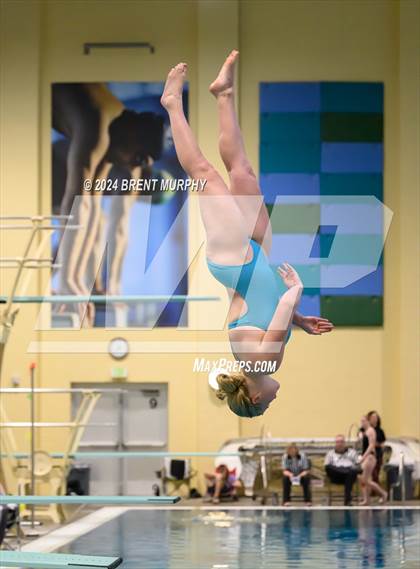 Thumbnail 1 in Mustang Invite (Diving) photogallery.