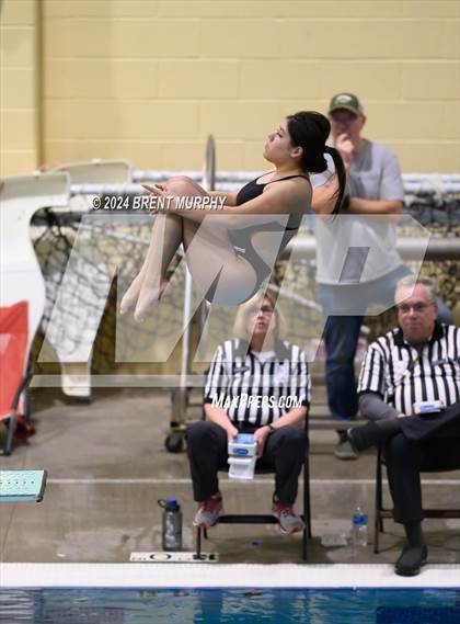 Thumbnail 2 in Mustang Invite (Diving) photogallery.