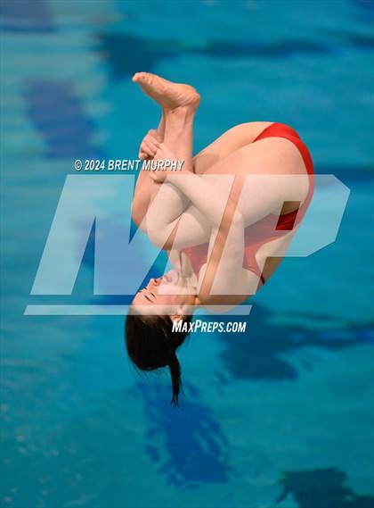 Thumbnail 3 in Mustang Invite (Diving) photogallery.