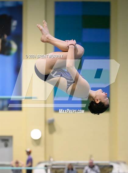 Thumbnail 2 in Mustang Invite (Diving) photogallery.
