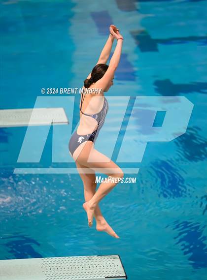 Thumbnail 3 in Mustang Invite (Diving) photogallery.