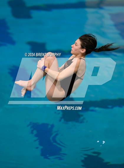 Thumbnail 2 in Mustang Invite (Diving) photogallery.