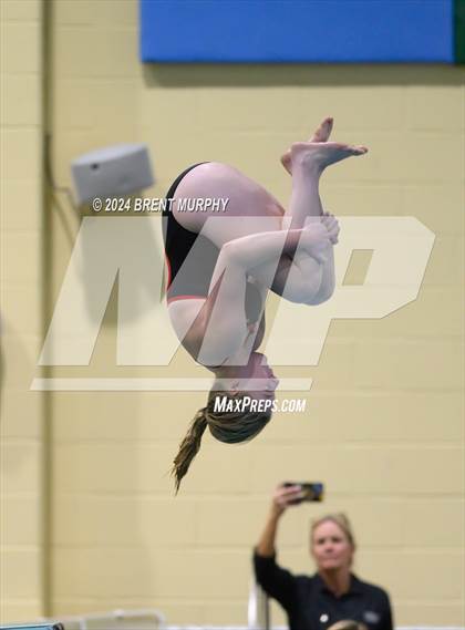 Thumbnail 2 in Mustang Invite (Diving) photogallery.