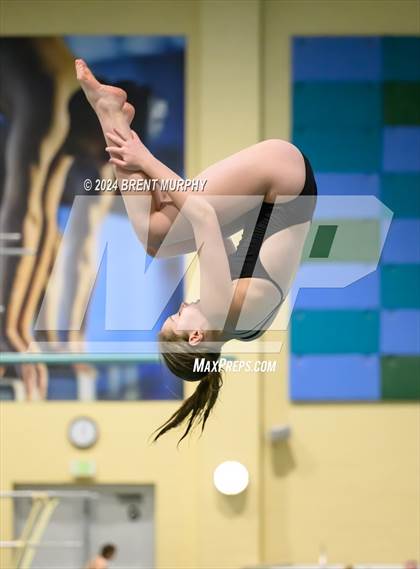 Thumbnail 2 in Mustang Invite (Diving) photogallery.
