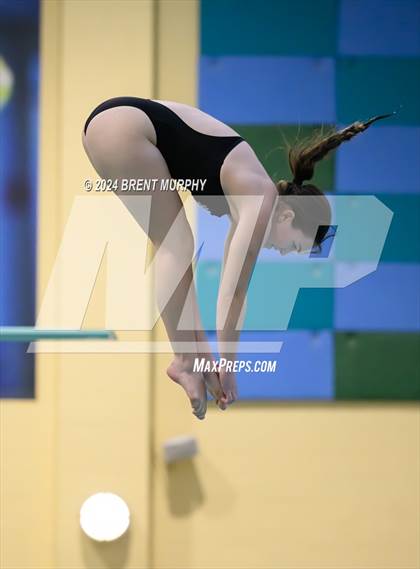 Thumbnail 3 in Mustang Invite (Diving) photogallery.