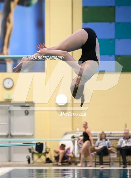 Thumbnail 3 in Mustang Invite (Diving) photogallery.