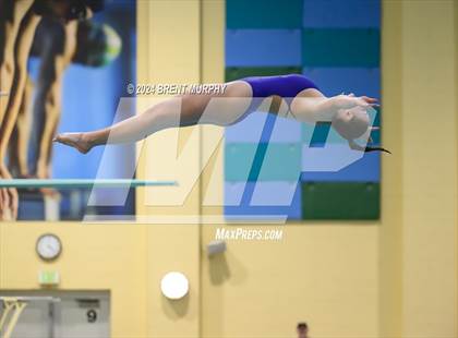 Thumbnail 2 in Mustang Invite (Diving) photogallery.