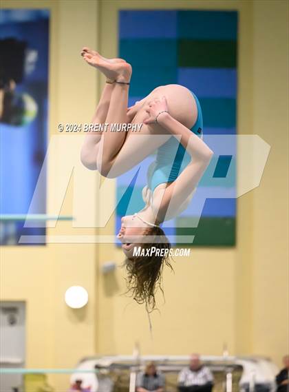 Thumbnail 1 in Mustang Invite (Diving) photogallery.